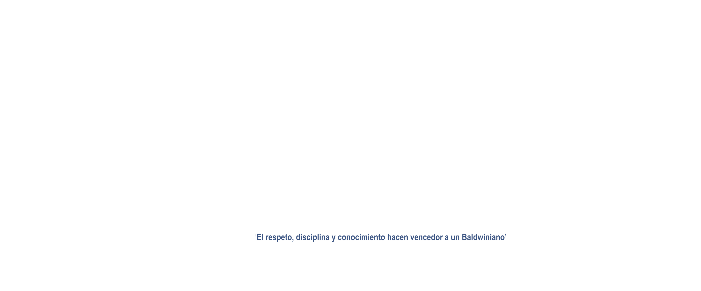 Animated Image